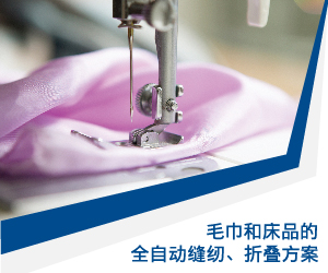 成工業(yè)(中國)有限公司