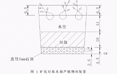 礦化垃圾水生植物床處理印染廢水的初探