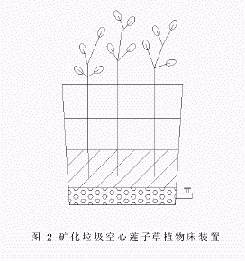 礦化垃圾水生植物床處理印染廢水的初探