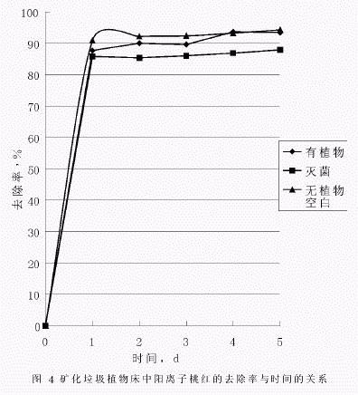 礦化垃圾水生植物床處理印染廢水的初探